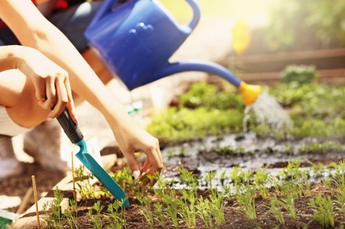 Gardener tidying a Colindale front garden with tools