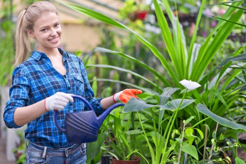 Front view of a gardener inspecting a residential garden