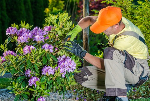 Professional landscaping service in Colindale