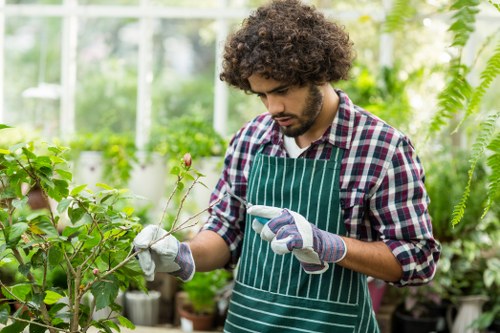 Professional garden clearance in Colindale