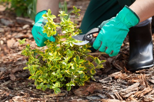 A gardener pointing to an area of turf needing attention