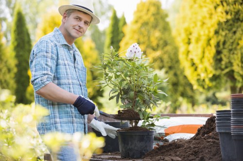 Eco-friendly garden clearance practices