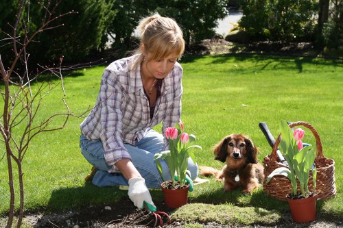 Investigation of planting beds during a site visit