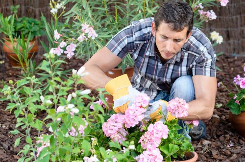 Sustainable landscaping practices