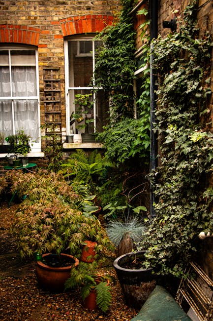 A quaint, densely planted garden courtyard with various lush green plants, ferns, and ivy growing on the brick and wooden walls of a small building with two white-framed windows. The ground is covered