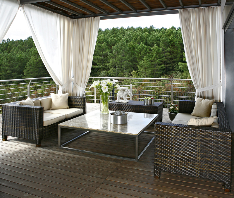 Create a Private Sanctuary with Expert Picks for Tall-Potted Plants