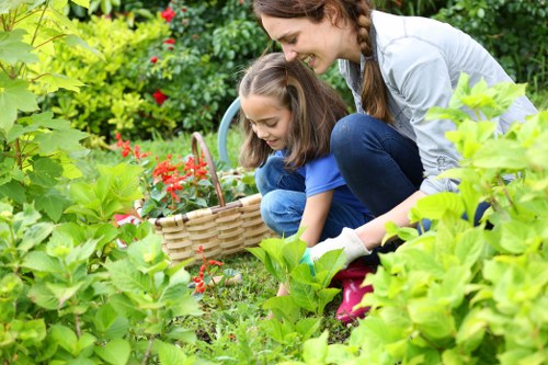 Landscape design services in Colindale