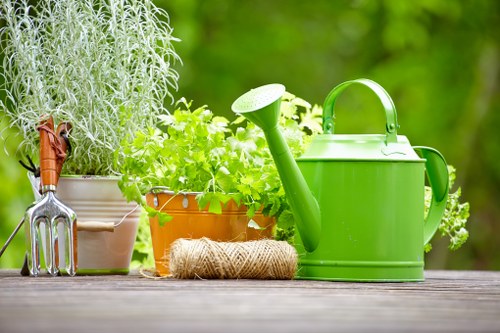 Professional gardener working in Colindale